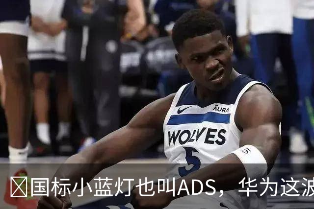 ​国标小蓝灯也叫ADS，华为这波白捡了个大便宜？