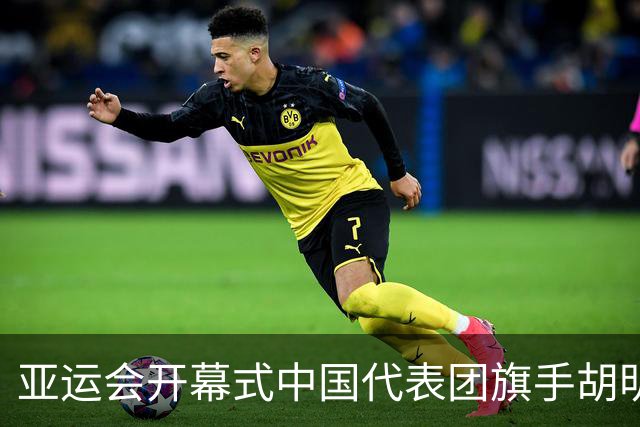 亚运会开幕式中国代表团旗手胡明轩，来自广东男篮