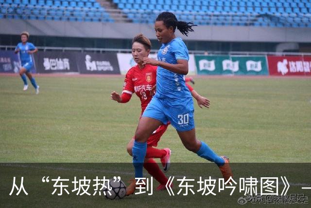 从“东坡热”到《东坡吟啸图》——范曾作品辨伪与文人画的价值