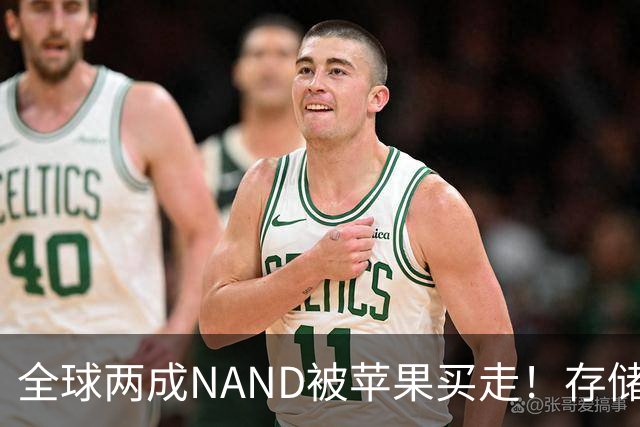 全球两成NAND被苹果买走！存储采购内幕曝光：不卖就让你跪着爬回来