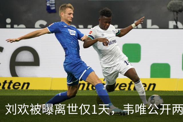 刘欢被曝离世仅1天，韦唯公开两人真实关系