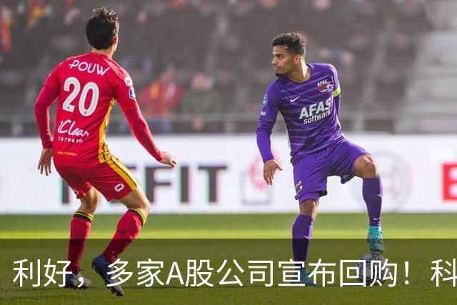 利好，多家A股公司宣布回购！科技龙头年内回购超600亿元