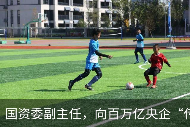 国资委副主任，向百万亿央企“传达”新任务