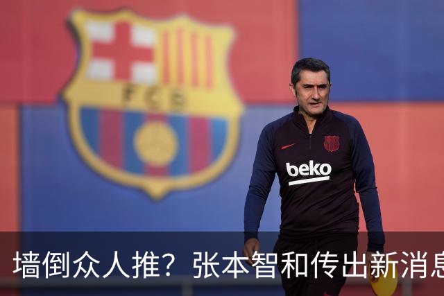墙倒众人推？张本智和传出新消息，原来樊振东早就猜中了他的结局