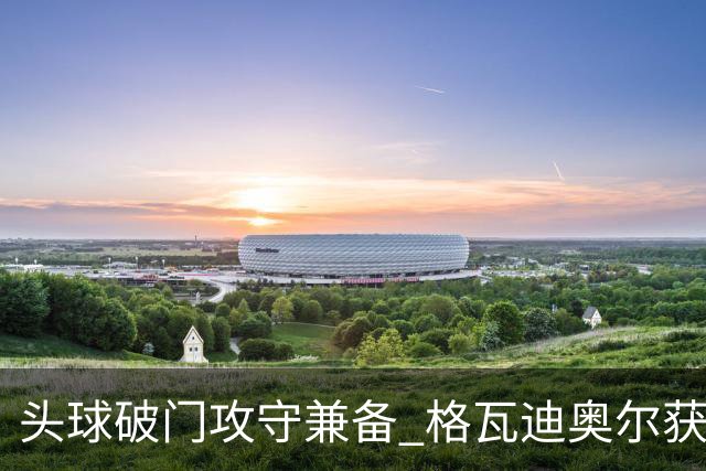 头球破门攻守兼备 格瓦迪奥尔获世界杯官方全场最佳