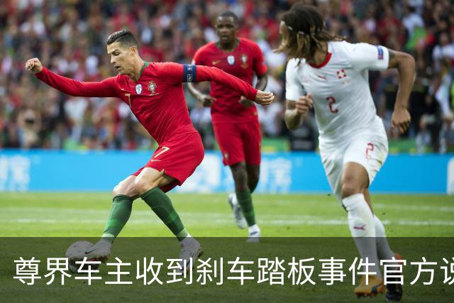 尊界车主收到刹车踏板事件官方说明：加压3000N未断裂损坏