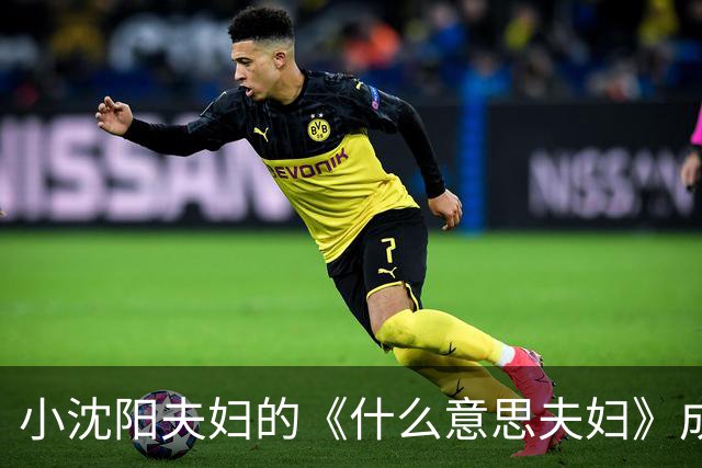 小沈阳夫妇的《什么意思夫妇》成国庆档黑马，逆袭稳居票房第二