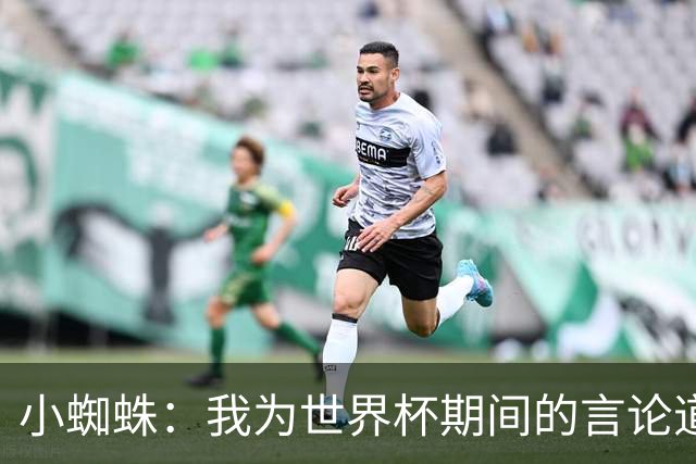 小蜘蛛：我为世界杯期间的言论道歉，换作我是球迷也会生气