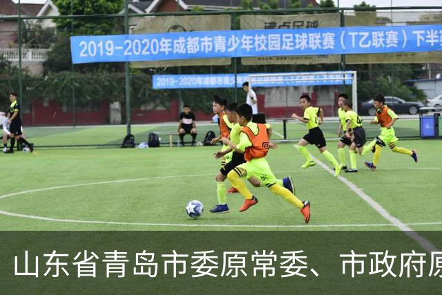 山东省青岛市委原常委、市政府原副市长王波被双开