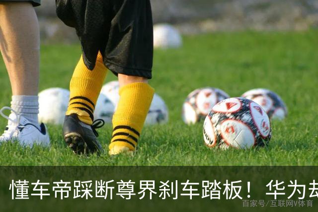懂车帝踩断尊界刹车踏板！华为却遭“无妄审判”……