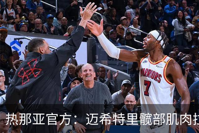 热那亚官方：迈希特里髋部肌肉拉伤。具体情况将进一步检查