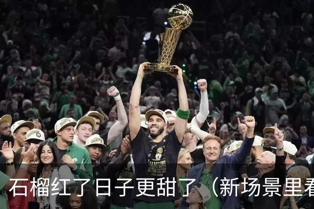 石榴红了日子更甜了（新场景里看活力）