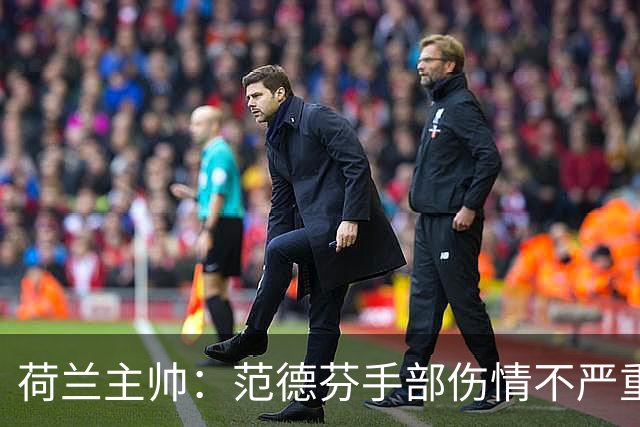 荷兰主帅：范德芬手部伤情不严重，热刺迎战曼联前待评估