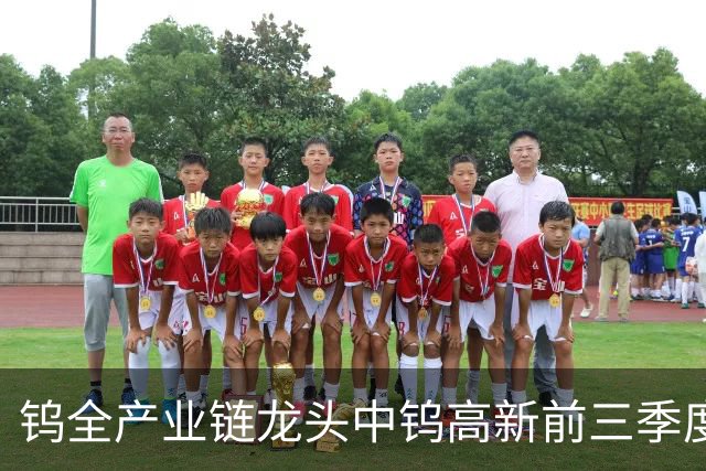 钨全产业链龙头中钨高新前三季度净利预增逾200%，PCB微钻等高端产品放量，股价却自年内高点回撤近60%