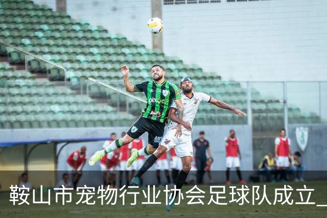鞍山市宠物行业协会足球队成立 暨首场行业足球交流赛举行