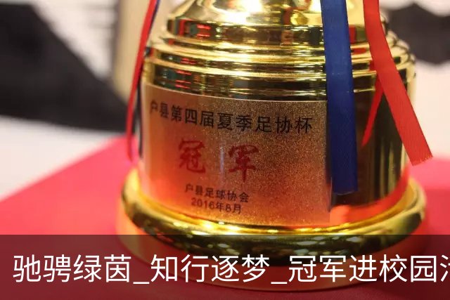 驰骋绿茵 知行逐梦 冠军进校园活动走进济源