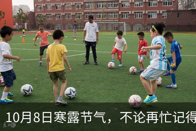 10月8日寒露节气，不论再忙记得“吃4样，做2事”安康滋润度秋！