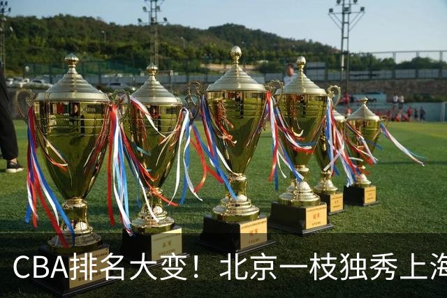 CBA排名大变！北京一枝独秀上海第3，辽宁第4广东第15，新疆连败宁波一胜难求